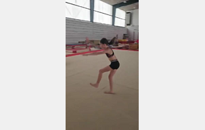 Gym 4