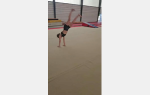 Gym 5