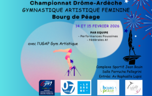 Compétition Départementale GAF Equipes FA1 PERF POUSS