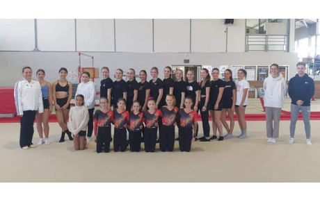 Stage perfectionnement Teamgym